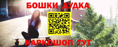 шишки Славгород