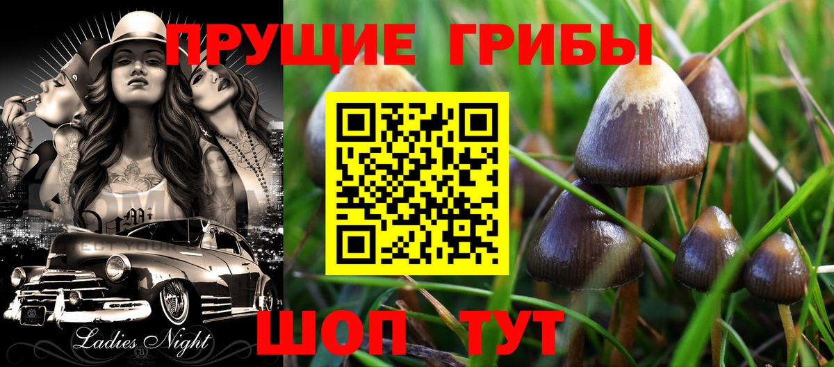 цена   Галлюциногенные грибы MAGIC MUSHROOMS  Вход с VPN  Назарово 