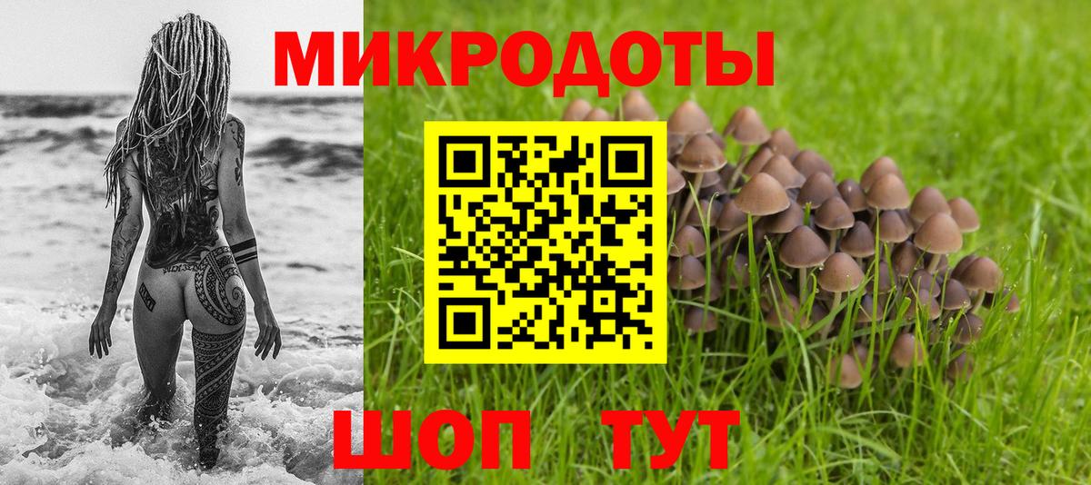 Галлюциногенные грибы Psilocybine cubensis Назарово